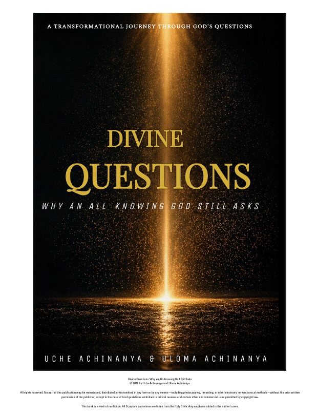 Divine Questions - eBook