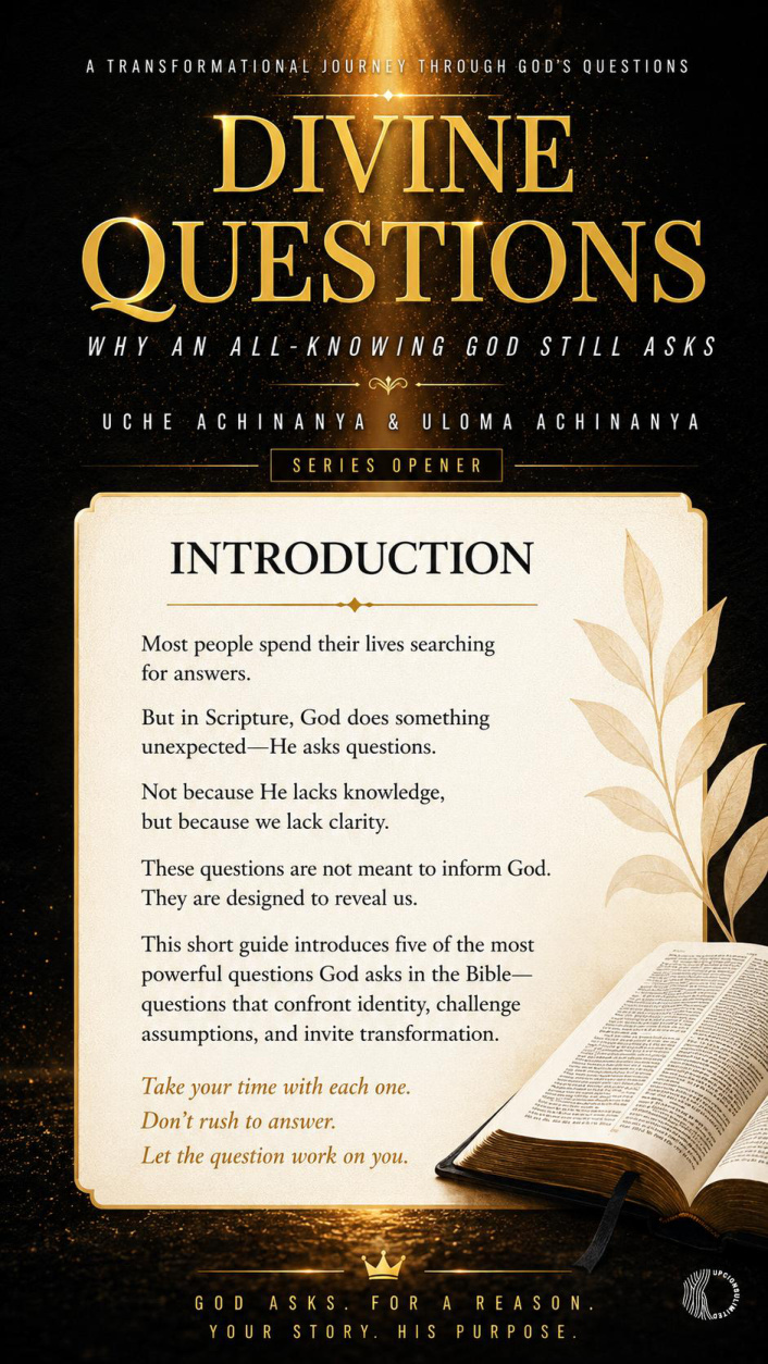 Divine Questions series cover